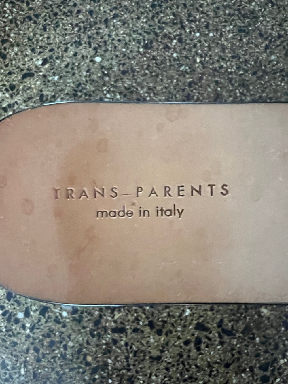 Trans-Parents - Picture 4 of 6